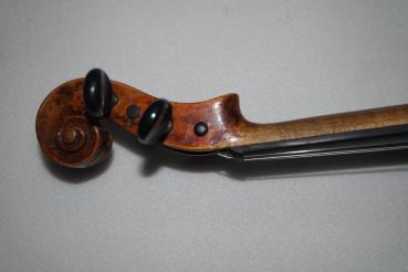 Geige Stradivari Modell Einstück Boden
